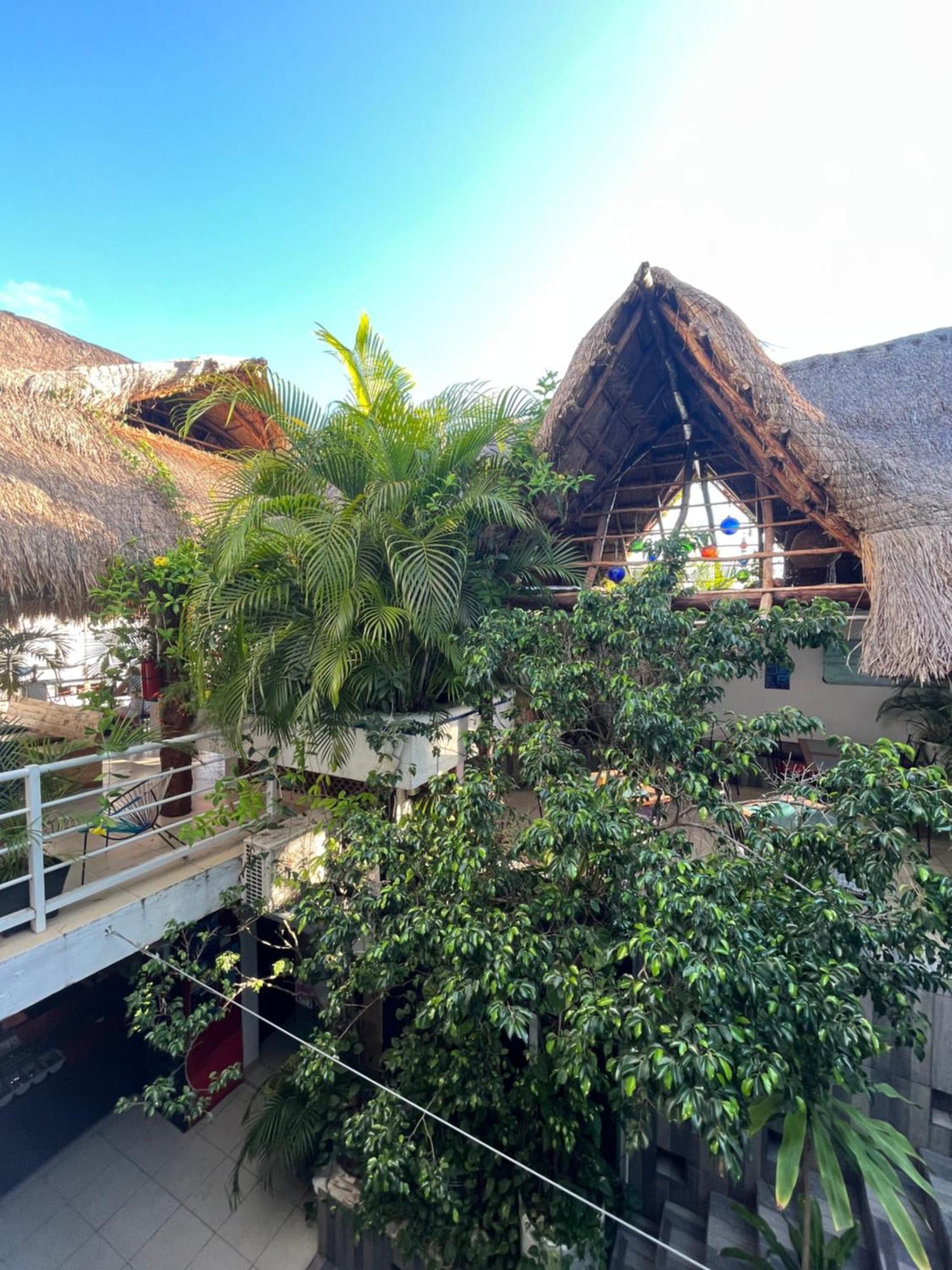 Hotel Hostelito Hotel 2*